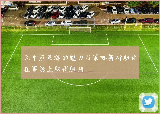 天平座足球的魅力与策略解析助你在赛场上取得胜利